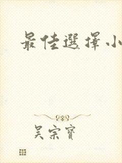 最佳选择小说