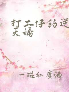 打工仔的逆袭楚天娇