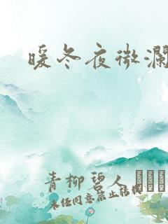 暖冬夜微澜