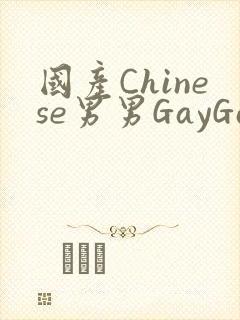 国产Chinese男男GayGayAPP