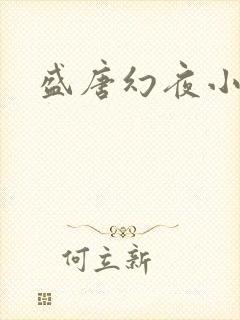 盛唐幻夜小说