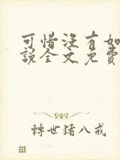 可惜没有如果小说全文免费阅读