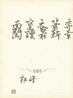 南宝衣萧弈免费阅读最新章节