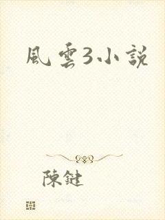 风云3小说