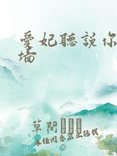 爱妃听说你要爬墙