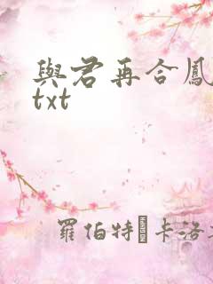与君再合凤求凰txt