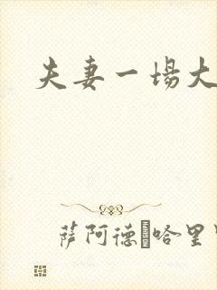 夫妻一场大结局