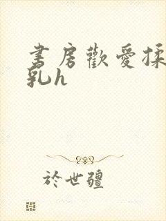 书房欢爱揉捏娇乳h