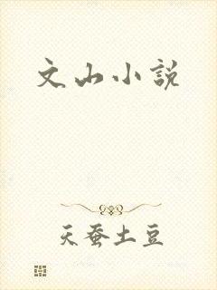 文山小说