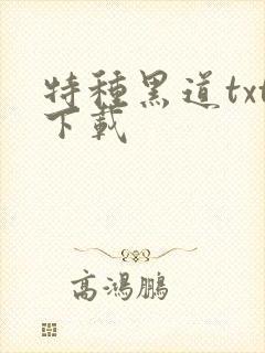 特种黑道txt下载