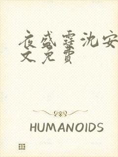 夜盛霆沈安然全文免费