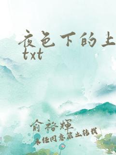 夜色下的上海滩 txt