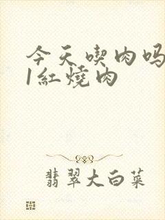 今天吃肉吗1V1红烧肉