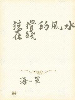 狡猾的风水相师在线