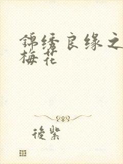 锦绣良缘之驿寄梅花