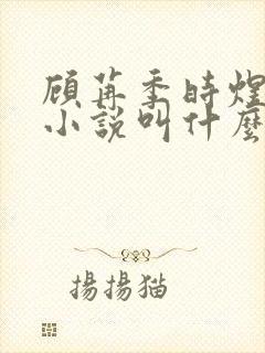 顾苒季时煜电竞小说叫什么名字