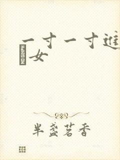 一寸一寸进入小姪女