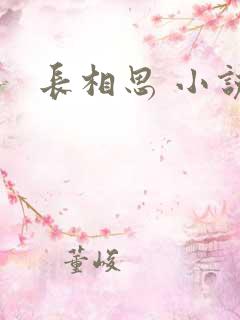 长相思 小说