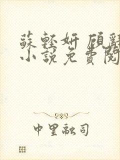 苏轻妍 顾辞笙小说免费阅读