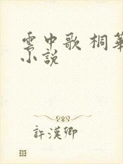 云中歌 桐华 小说