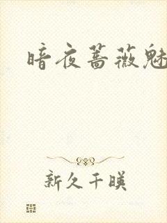 暗夜蔷薇魅之伤