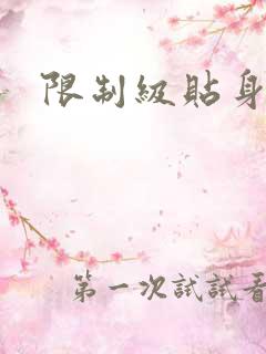 限制级贴身高手