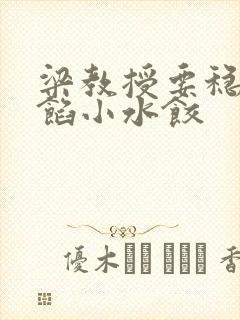 梁教授要稳住肉馅小水饺