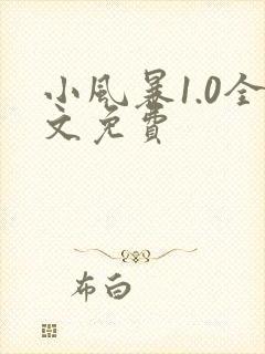 小风暴1.0全文免费