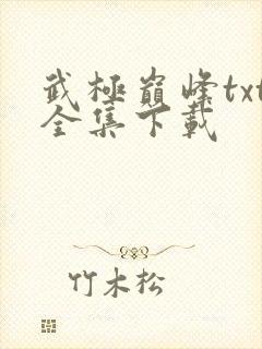 武极巅峰txt全集下载