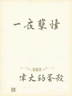 一夜孽情