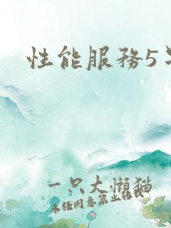 性能服务5星辰