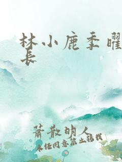 林小鹿季曜珉机长