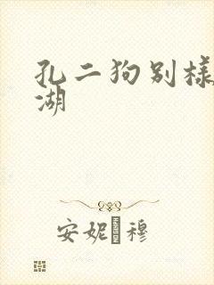 孔二狗别样的江湖