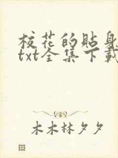 校花的贴身保镖txt全集下载