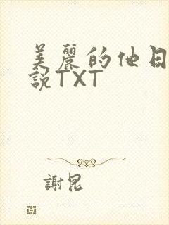 美丽的他日剧小说TXT