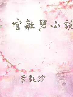 官敏儿小说集