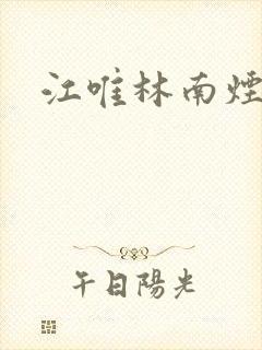 江唯林南烟