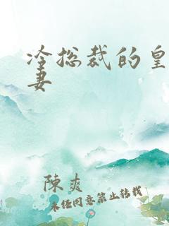 冷总裁的皇后暖妻