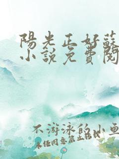 阳光正好苏玥玥小说免费阅读