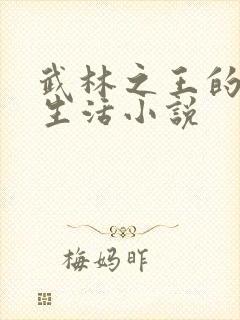 武林之王的退隐生活小说