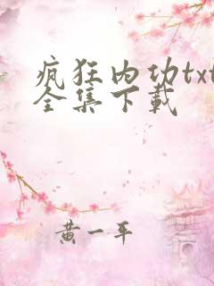 疯狂内功txt全集下载