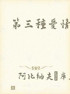 第三种爱情续集