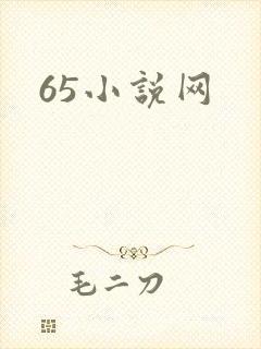 65小说网