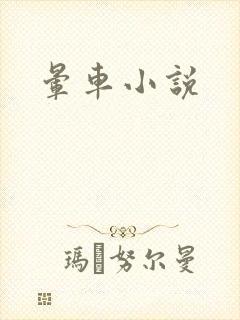 晕车小说