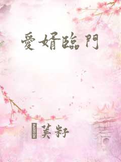 爱婿临门
