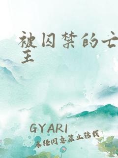 被囚禁的亡国公主