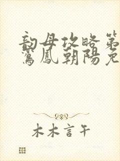 韵母攻略第二部鸾凤朝阳免费阅读