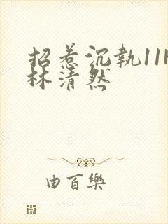 招惹沉执11H林清然