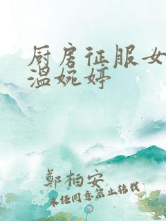 厨房征服女市长温婉婷