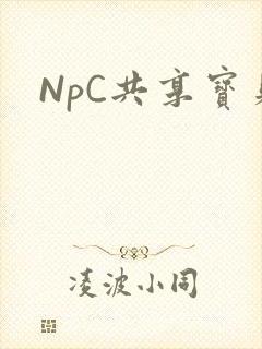 NpC共享宝贝
